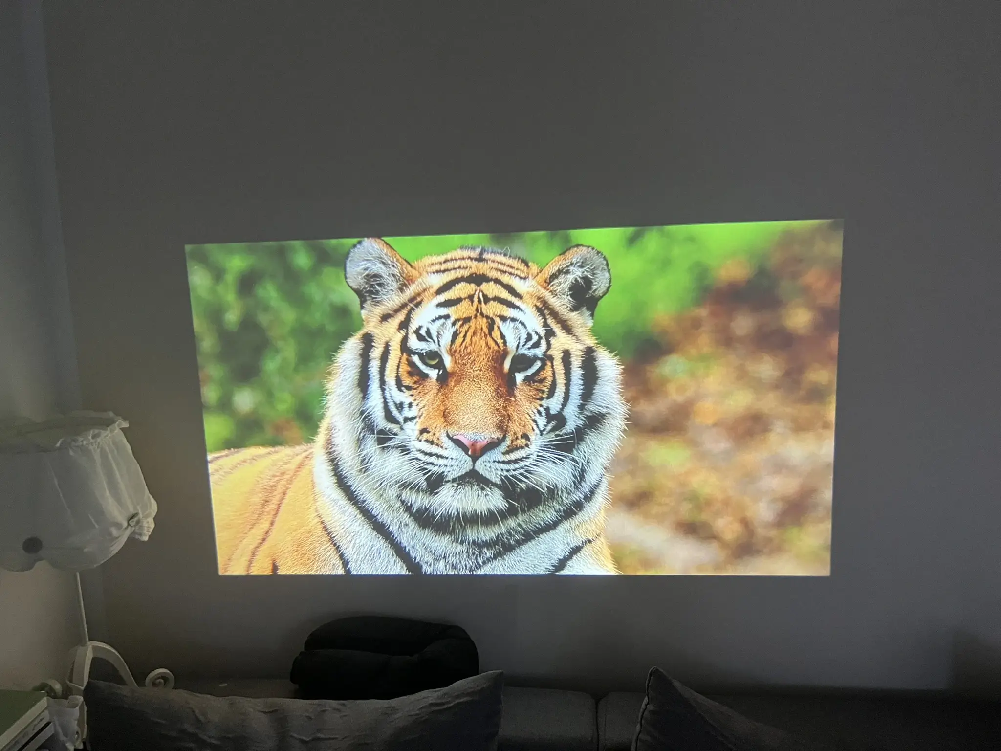 Bildqualität Acer AOpen L20 bei Dunkelheit - Bild 1