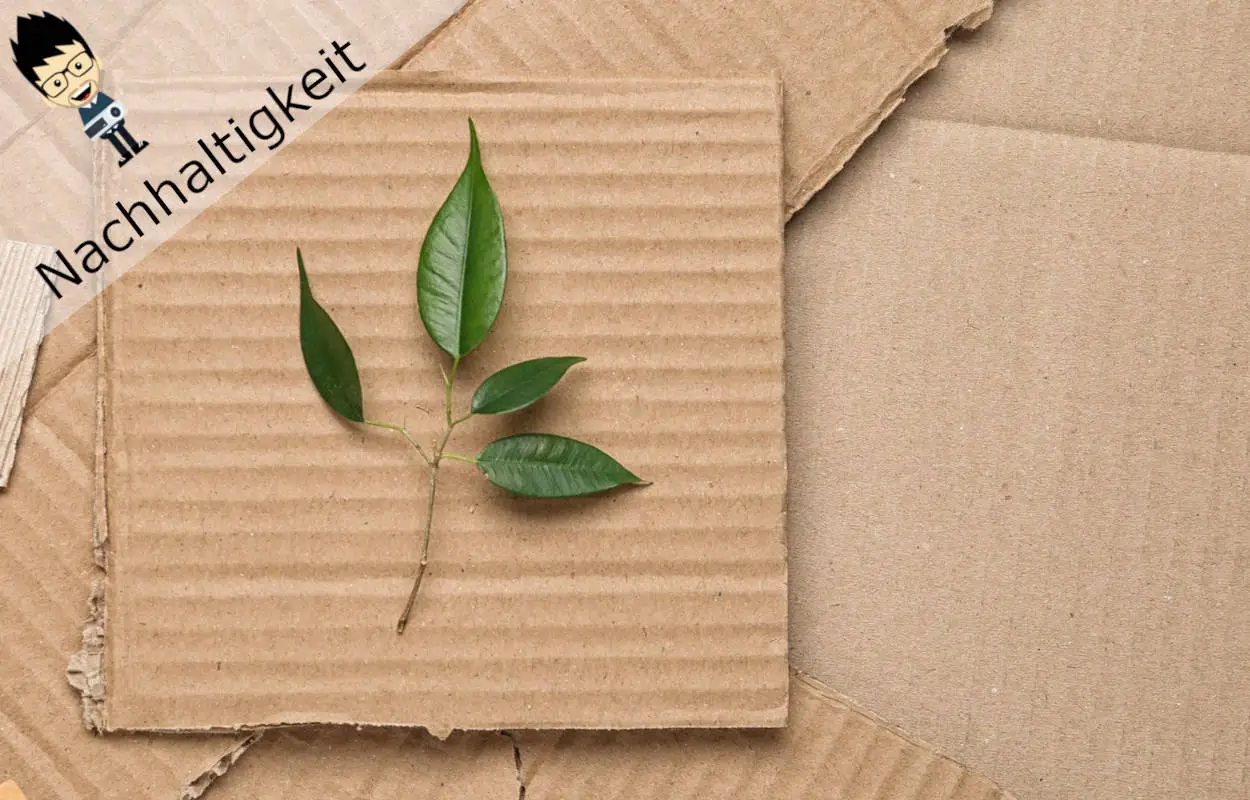 Nachhaltige Beamer – Erklärung & Produktvorschläge