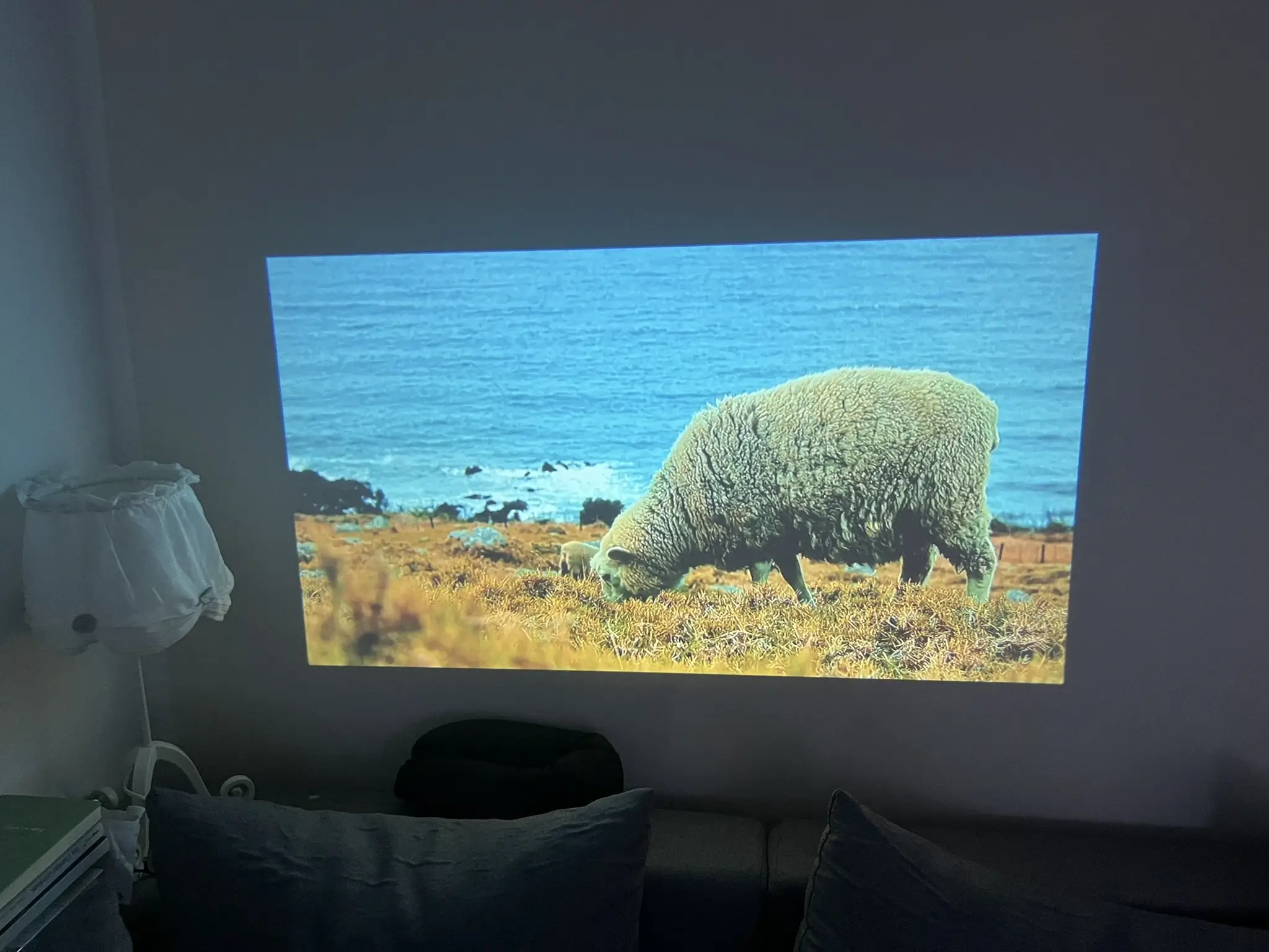 Tier Beamer Projektion Acer AOpen L20