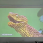 Optoma UHZ68LV Test Bildqualität